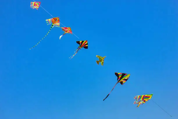 Makar Sankranti 2025