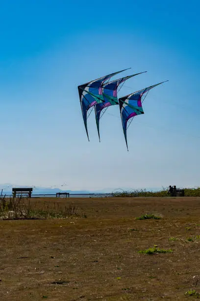 Makar Sankranti 2025