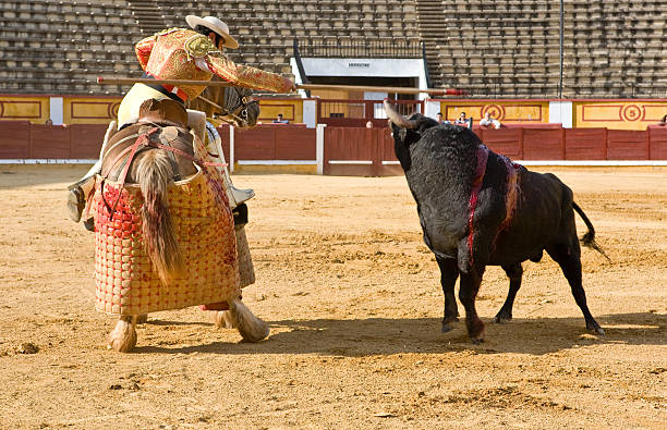 Jallikattu Bull Festival