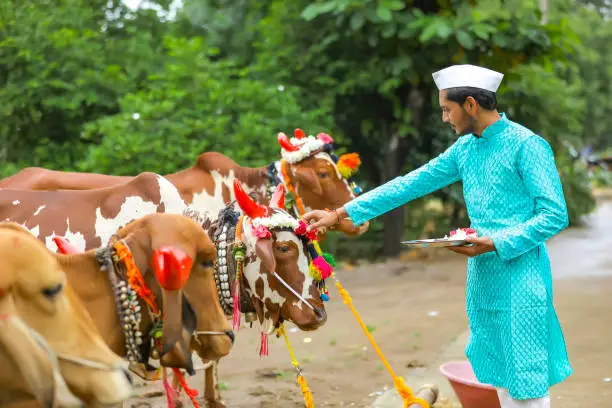 Pongal Festival