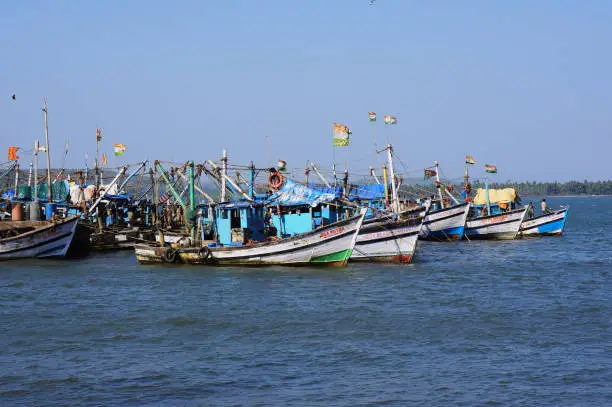 Annual Seafood Festival