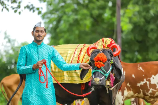 Gai Jatra History in Nepal